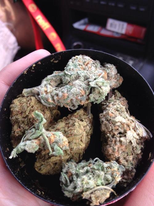 goldallinmylungs:  Blue Dream and Green Crack