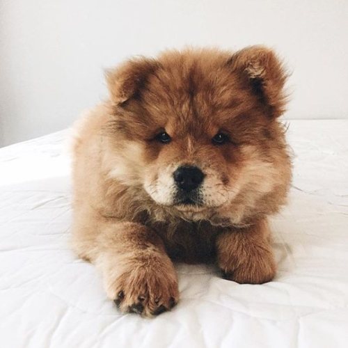 Can I bring him home for the holidays?Via @shopplanetblue on Instagram