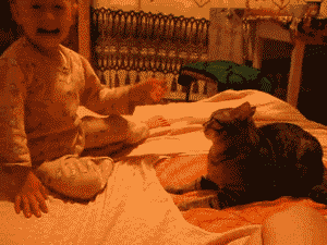 thatweirdkid55:  belladonna-babee:  iteleport:  Why Cats Are The Worst  Why Children Are The Worst. Don’t fucking let your child hit animals, I don’t give a fuck how else you raise them. You don’t let them harm animals that have no way of protecting