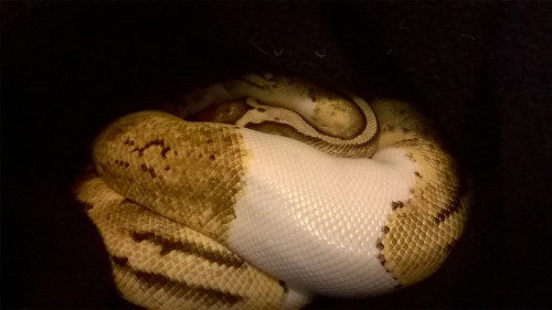 cinnamonrollsnek:The difference turning on the light makes then a bigger difference when I lean in v