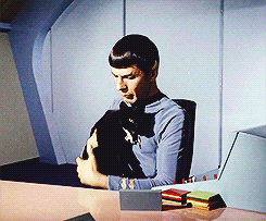 thefingerfuckingfemalefury:  CATS ARE TOTALLY BETTER :D 