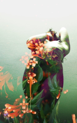 wisetigress:  Blossoming Flower (Submission to Creative Saturday) - by Shell (Reblogging ok only with the cation intact)