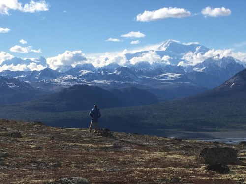 Kesugi RidgeDenali State Park, AKShot up to Denali to try and chase the Spring weather in AK. The fi