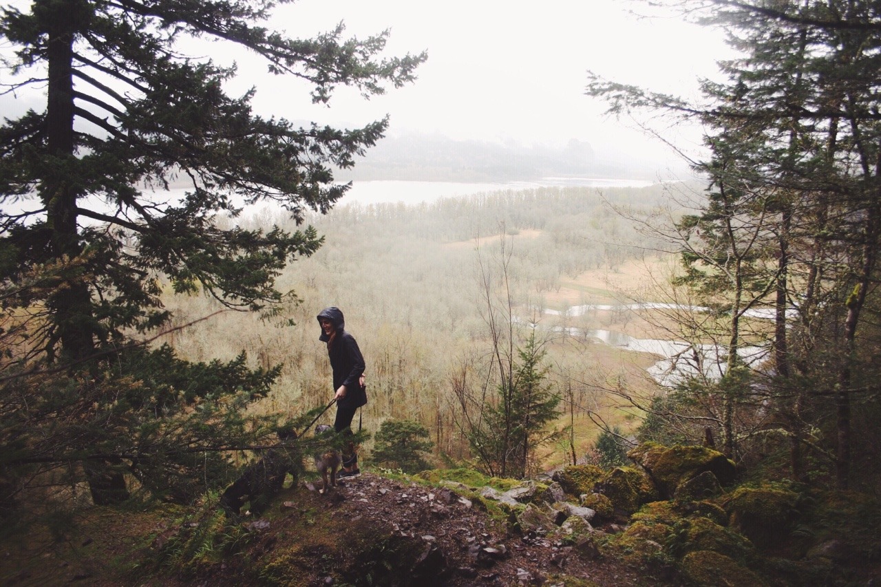 vhord:  eartheld:  automaticallyoutstanding:  Horsetail Falls |   March 22, 2015