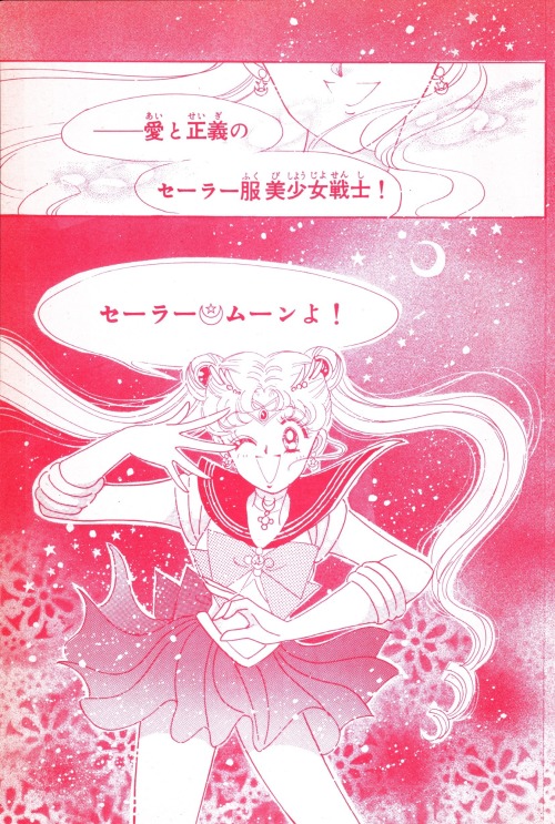  On December 28, 1991, the first chapter of the Sailor Moon manga was published on Nakayoshi magazin