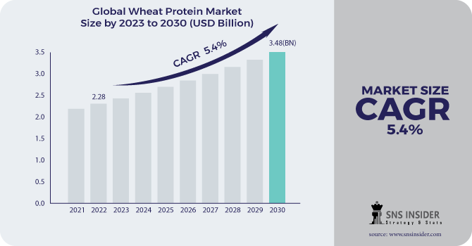 Wheat Protein Market Trends, Size, Share and Segmentation 2031. – @swapnil4896 on Tumblr