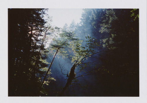 untitled by Missy Prince on Flickr.