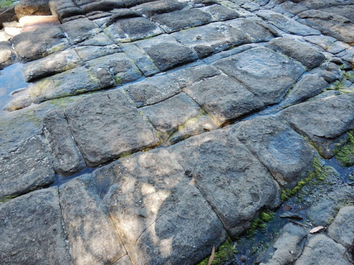 Tessellated Pavement, Tasmania A thin isthmus of land called Eaglehawk Neck connects the Forestier P