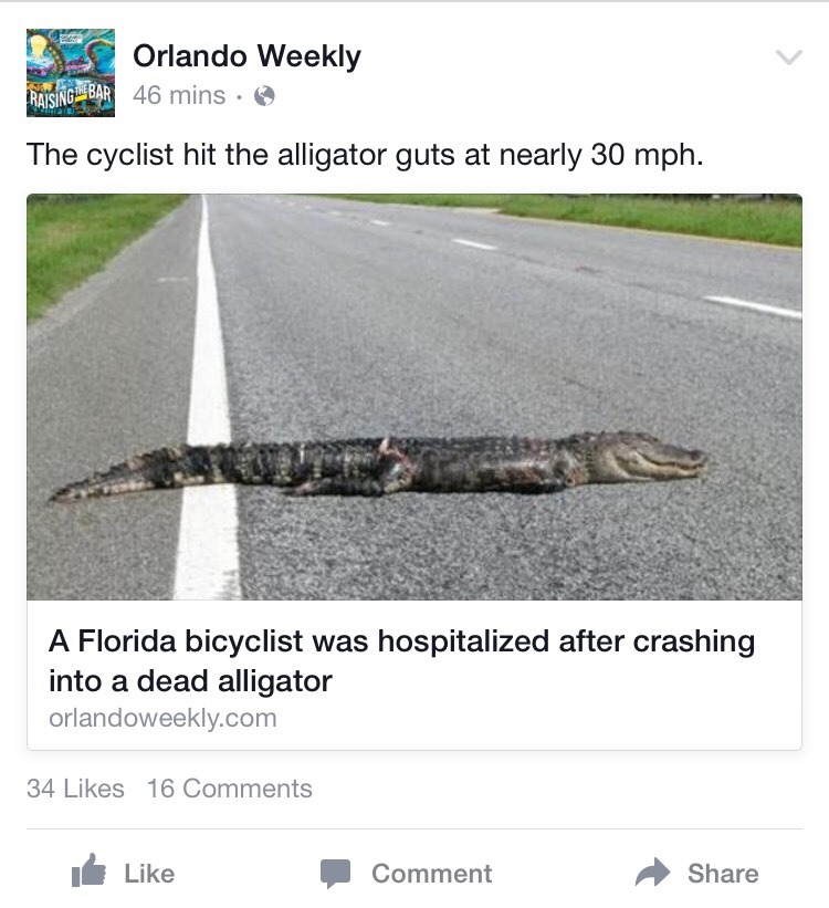 fuckingflorida:  I JUST SPIT MY DRINK OUT.