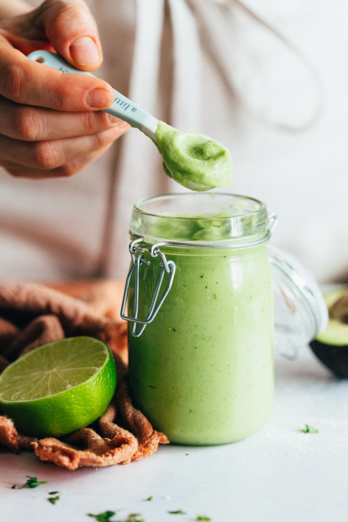 Easy Avocado Aioli (Oil-Free!) / Recipe