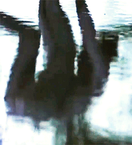 50eedb40c7c301c5943874f0b4fdc21283b8f1d7.gifv