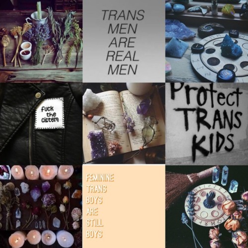 thatgayshitmoodboards: trans wiccan moodboard