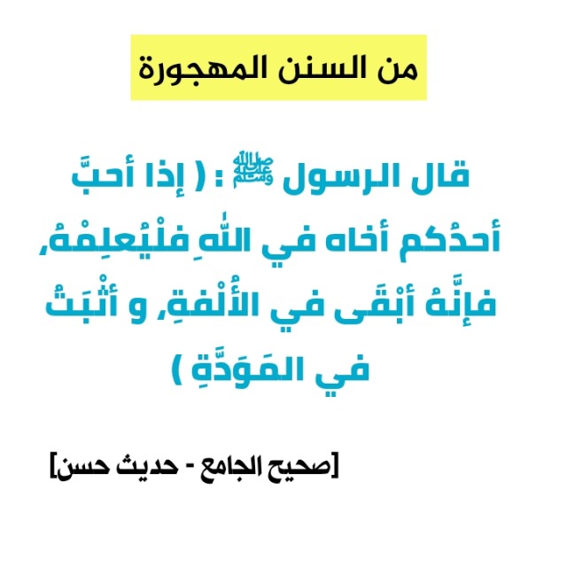 الملائكة خلق عظيم من خلق الله يوم القيامة يكون موقفهم ممن كانوا يعبدونهم