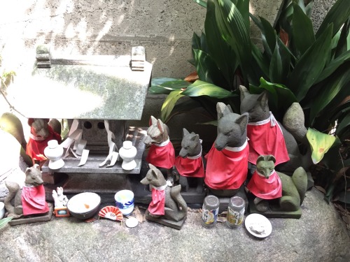 Kitsune (with their traditional red bibs) at Namiyoke Inari Shrine, Tsukiji, Tokyo. photos by Kobalt