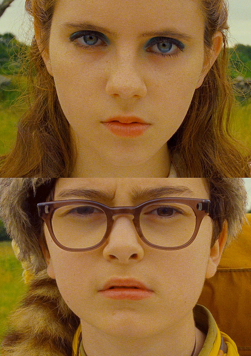 plantvibes:Moonrise Kingdom (2012)