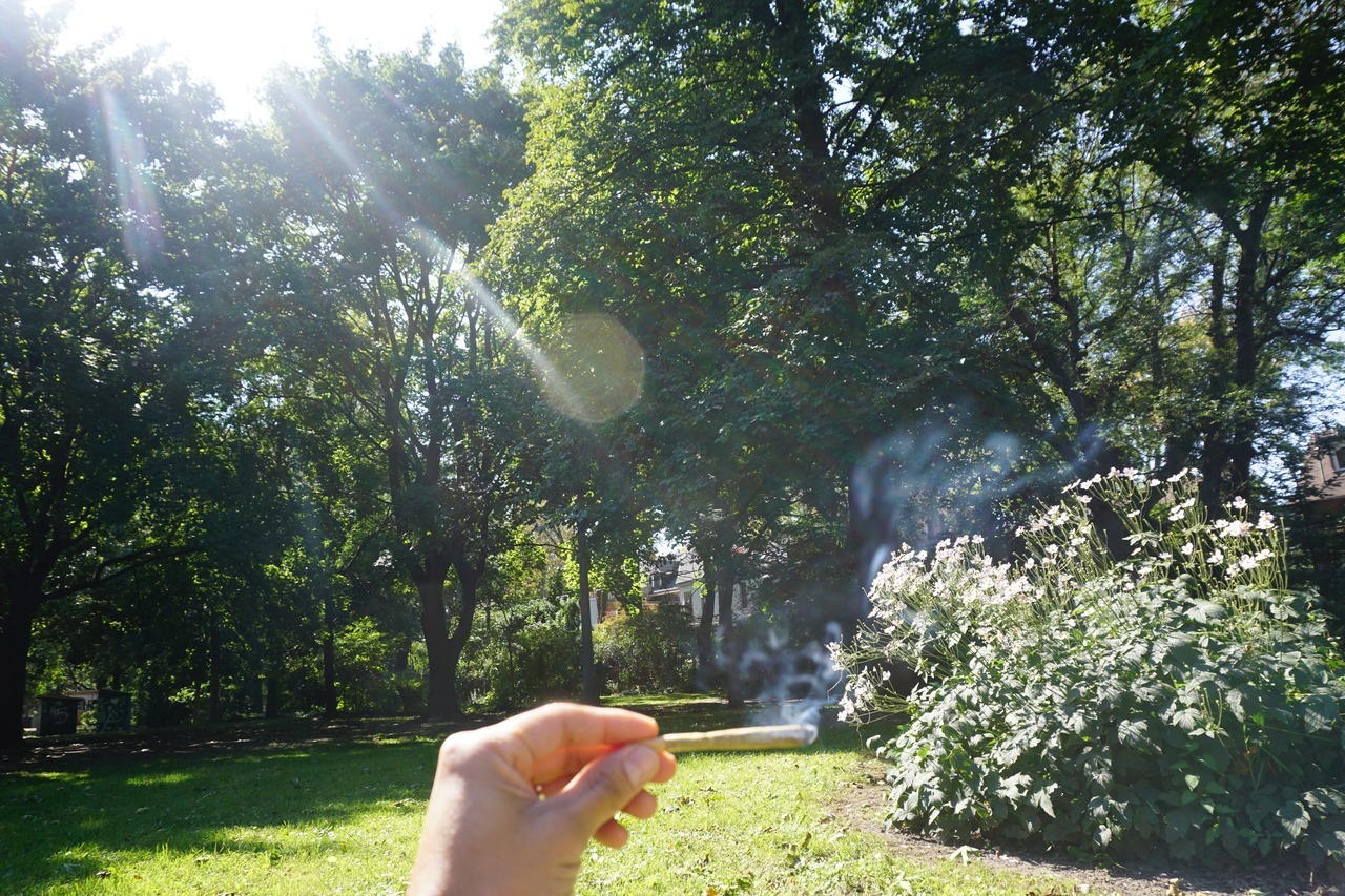 weednymphos:  weednymphos:  The 6 smoke views | weednymphos | new ig   Whos still