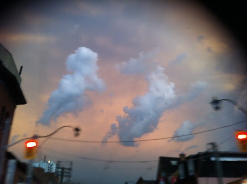 animeteen:THE SKY WAS LIKE 25 DIFFERENT KINDS OF CRAZY IN THE PAST HALF HOUR