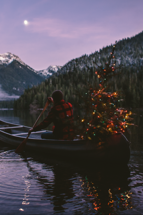 earth-dream:  I’ll Be Home For The Holidays