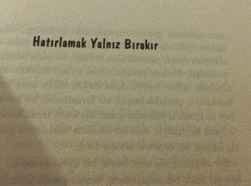 Küçükken sahip olduğum şeyler arasındaydı adın.
