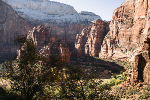 christophermfowler:Zion National Park | October 2017