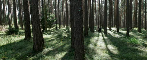 hirxeth:“Someday I’ll… I’ll paint the true Christ.”A Hidden Life (2019) dir. Terrence Malick