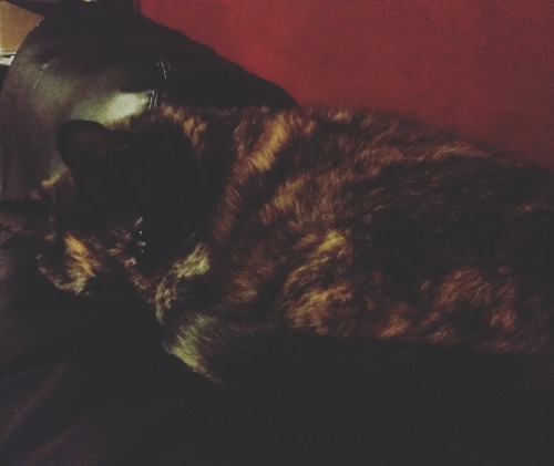 My sweepy wittle baby cakes.