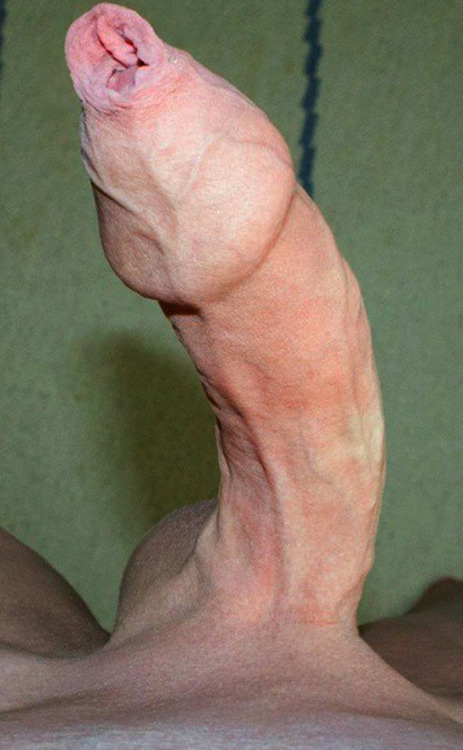 kevrandom:Check out kevrandom for more wanking material.