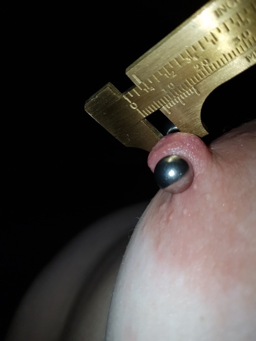 Porn photo women-with-huge-nipple-rings