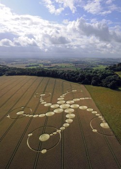 vraieronique:L’ Art, aussi, est dans le pré ..!