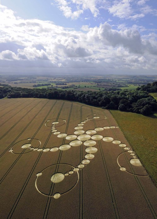 vraieronique: L’ Art, aussi, est dans le pré ..!