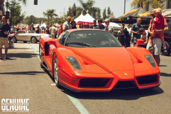 automotivated:  Ferrari Enzo in Rosso Dino (by GenuinePhotography)