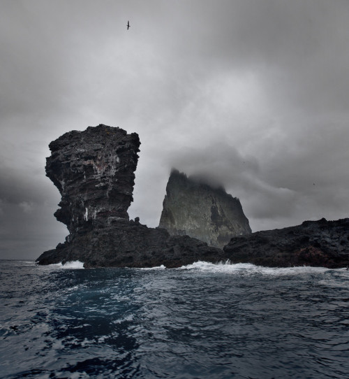 wolverxne:  Lord Howe Island Group, Australia | by: [Hatty Gottschalk]