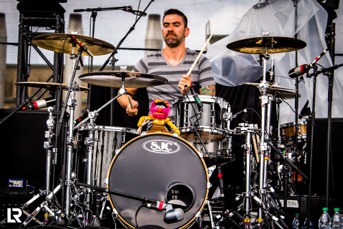 loganreidmedia:  Cyrus Bolooki // New Found Glory09/06/14 - Downsview Park - Toronto, ONRiot Fest an