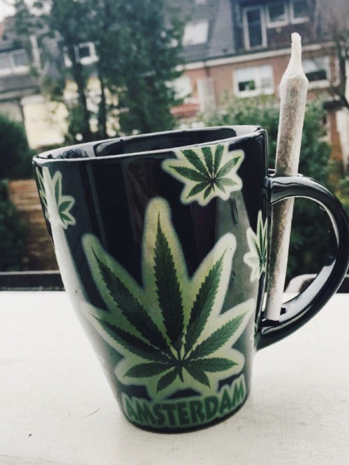 aspeckamongdots:  wasted-wonderlanddd:  nothing like a cup of coffee in the morning  @coffeepotsmoki