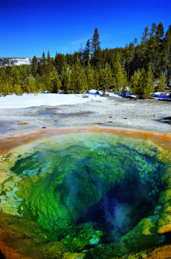 i-am-the-beast-i-worship:  Upper Geyser Basin, Wyoming David Renwald