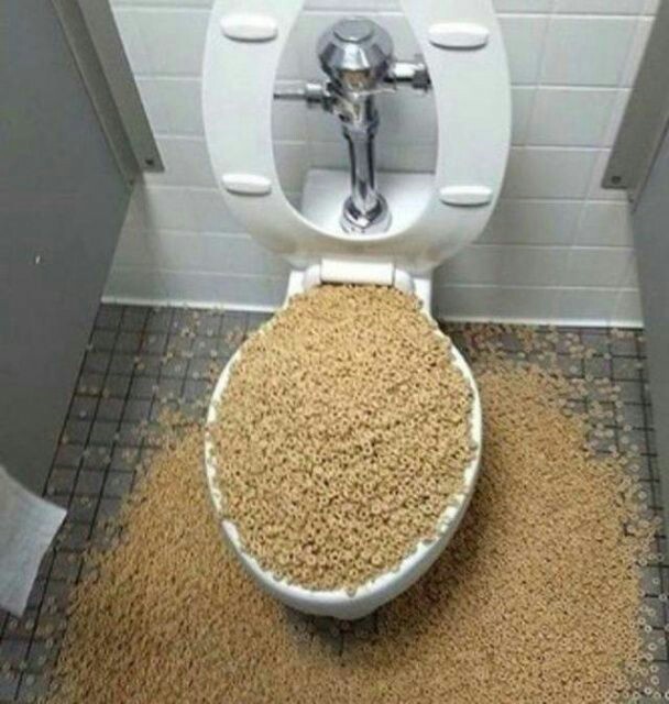 Flushing Food Down the Toilet?