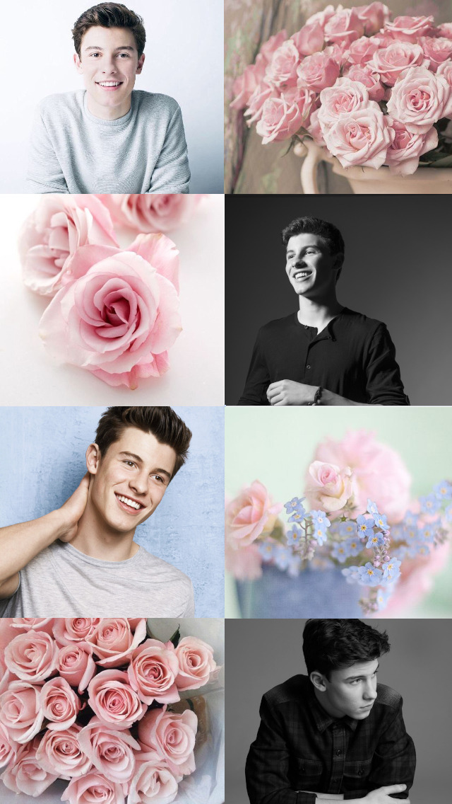 Shawn Mendes Light Pink Roses 1:12 shawn mendes daily 64 979 prosmotrov. shawn mendes light pink roses