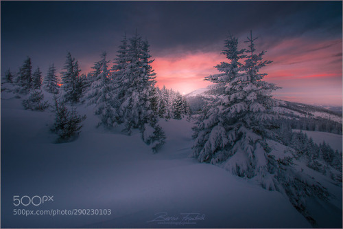 Winterabend by FriedrichBeren