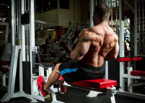 firtar:cdnlifter27:Seth Brooks  Woof