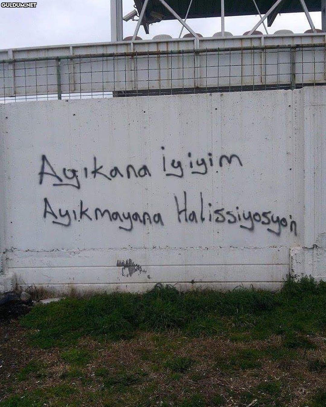 Ayıkmayan kategorisine...