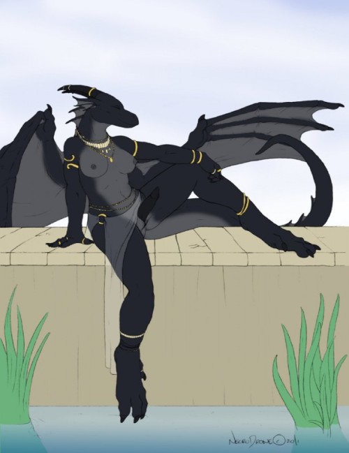 draggysden:  Some herm dragoness’s for zadjatheifrit~~