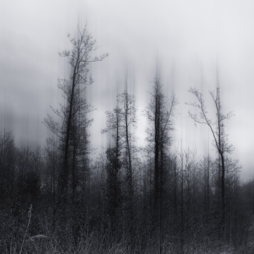 Slide By Jrgen Heckel