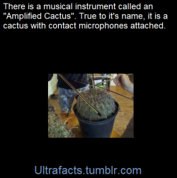 ultrafacts:  Video: [x] Source Follow Ultrafacts