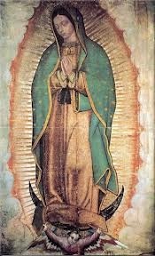 lairiis-ladedurango:  Mi Vigensita de Guadalupe 🙏🌹💐🌷