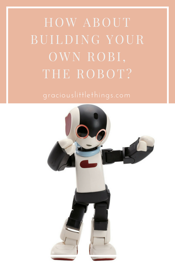 Gracious Little Things — How About Building Your Own Robi, the Robot?