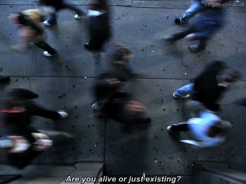 glamouroushollywood:  blur on We Heart It. 