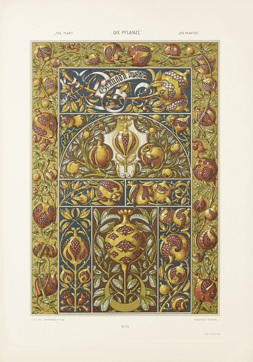 Anton Seder, Die Pflanze in Kunst und Gewerbe - The plant in art and crafts, 1886. Chromolithography