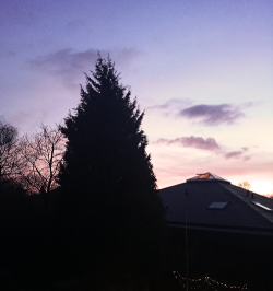 izelands:  i just sat on the balcony for hours watching the sky change colours