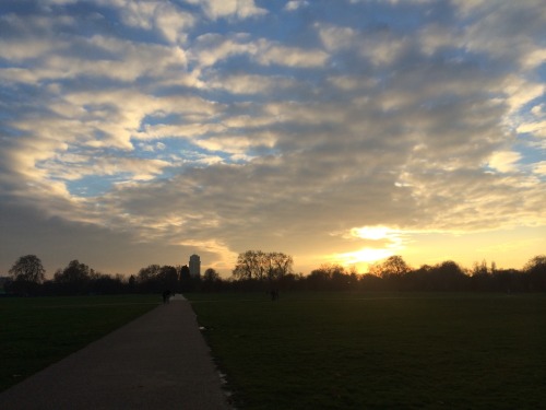 justsouthoftheriver:Sunset in Hyde Park