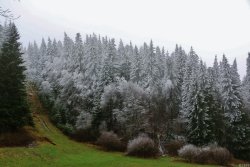 livinginthewind:  ~ 9th December : PowderSnow ~ by JoJoAsakura 